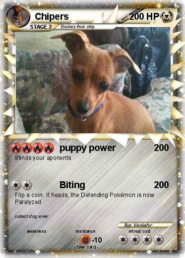 Pokemon Chipers