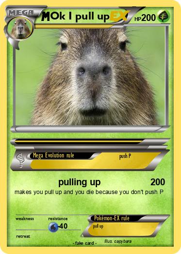 Pokemon Ok I pull up