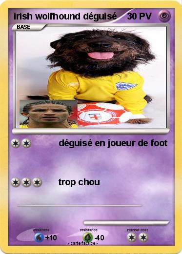 Pokemon irish wolfhound déguisé