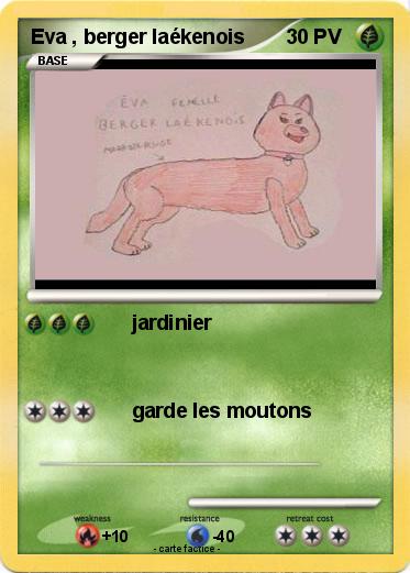 Pokemon Eva , berger laékenois