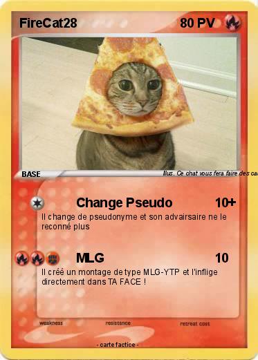 Pokemon FireCat28