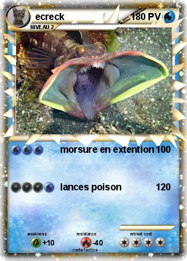 Pokemon ecreck