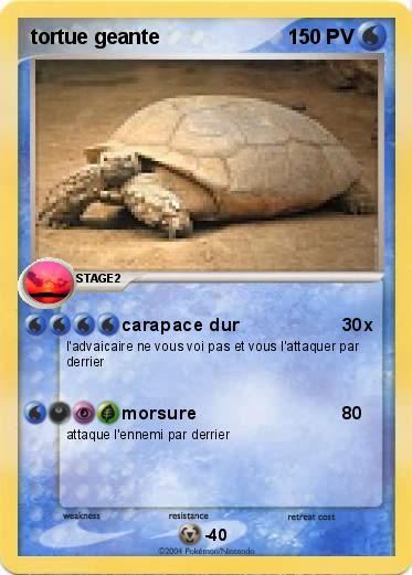 Pokemon tortue geante