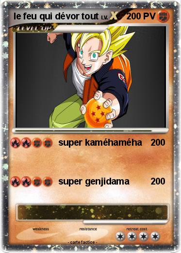 Pokemon le feu qui dévor tout