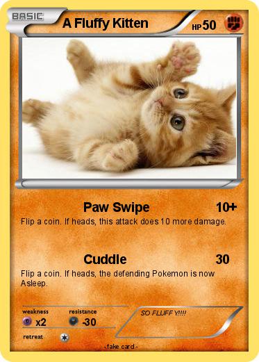 Pokemon A Fluffy Kitten