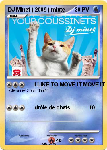 Pokemon DJ Minet ( 2009 ) mixte