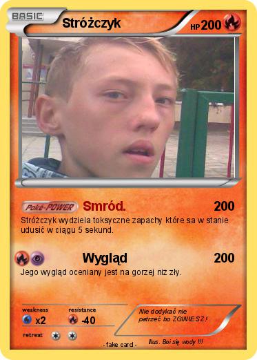 Pokemon Stróżczyk