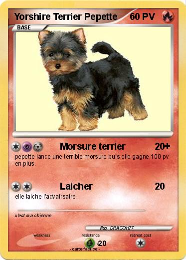 Pokemon Yorshire Terrier Pepette