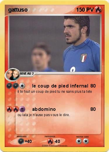 Pokemon gattuso