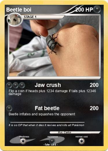 Pokemon Beetle boi