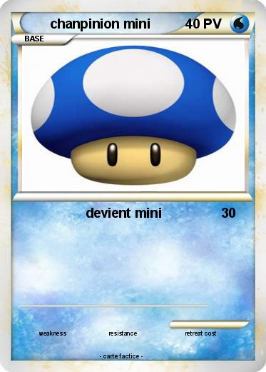 Pokemon chanpinion mini