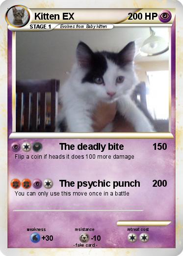 Pokemon Kitten EX