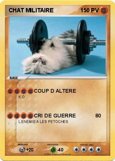 Pokemon CHAT MILITAIRE