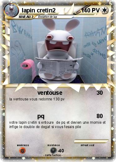 Pokemon lapin cretin2
