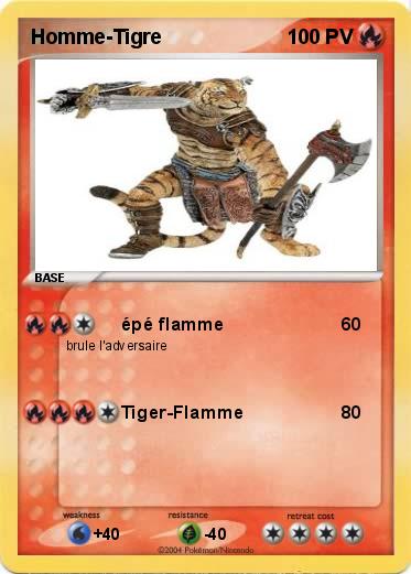 Pokemon Homme-Tigre