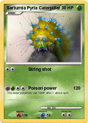 Pokemon Sarturnia Pyria Caterpillar