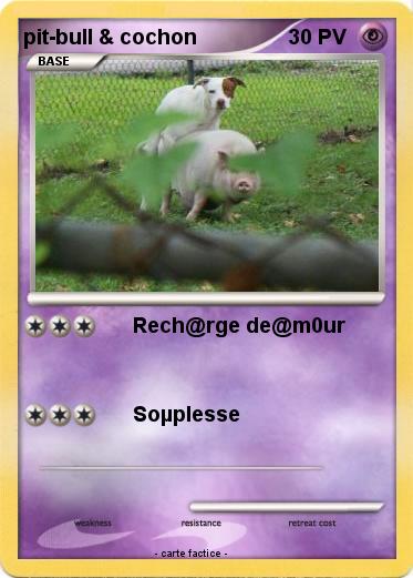 Pokemon pit-bull & cochon