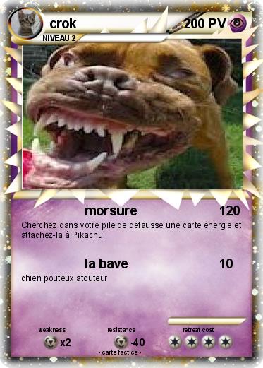 Pokemon crok