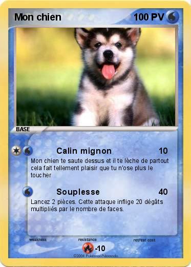 Pokemon Mon chien
