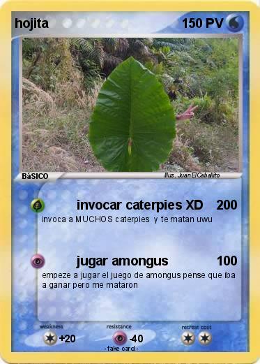 Pokemon hojita