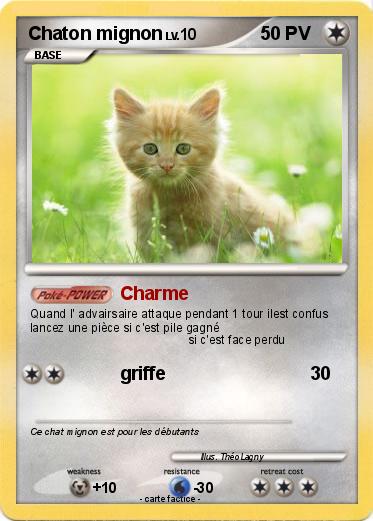 Pokemon Chaton mignon