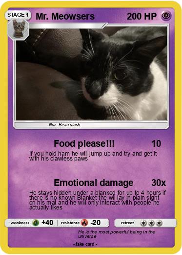 Pokemon Mr. Meowsers