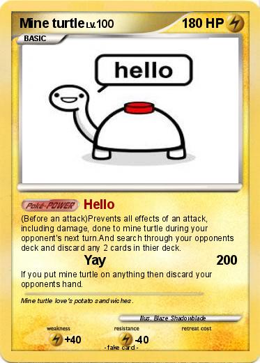 Pokemon Mine turtle