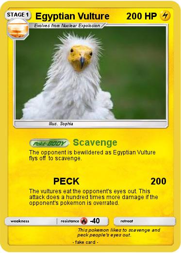 Pokemon Egyptian Vulture