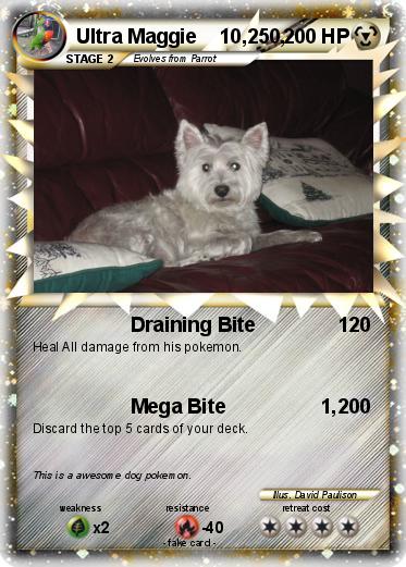 Pokemon Ultra Maggie    10,250,