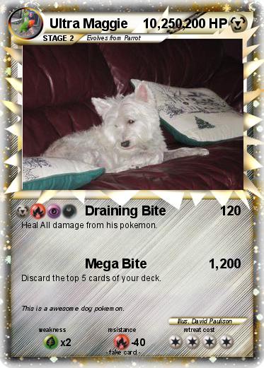 Pokemon Ultra Maggie    10,250,