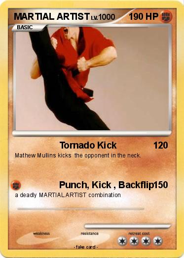 Pokemon MARTIAL ARTIST