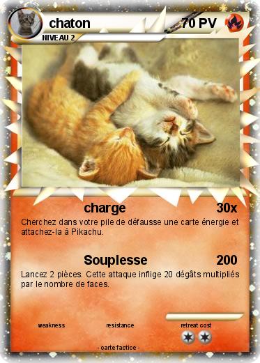 Pokemon chaton