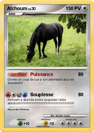 Pokemon Atchoum