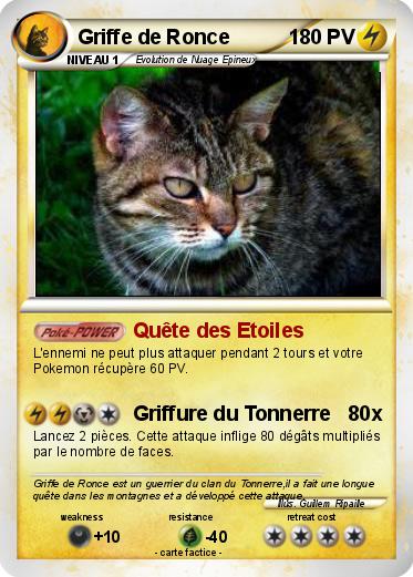 Pokemon Griffe de Ronce