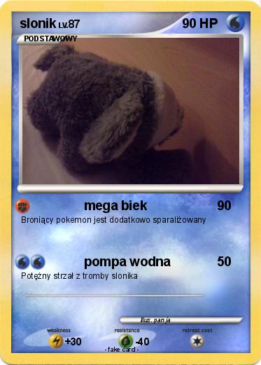 Pokemon slonik