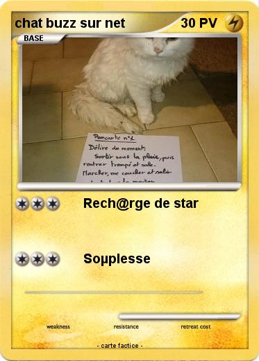 Pokemon chat buzz sur net