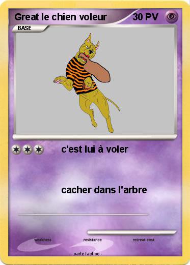 Pokemon Great le chien voleur