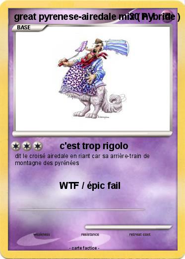 Pokemon great pyrenese-airedale mix ( hybride )