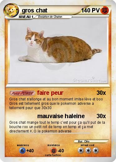 Pokemon gros chat