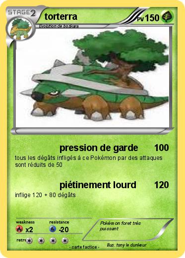 Pokemon torterra