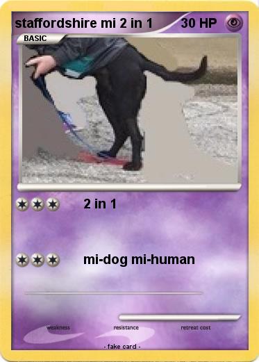 Pokemon staffordshire mi 2 in 1
