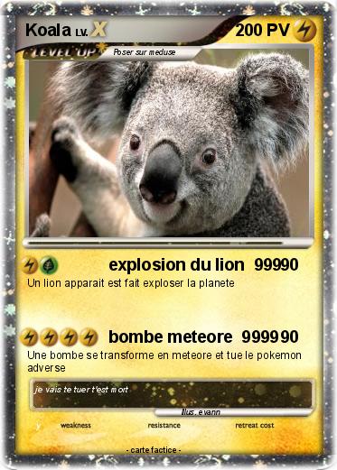 Pokemon Koala