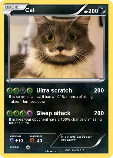 Pokemon Cat