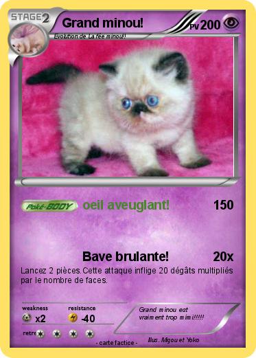 Pokemon Grand minou!