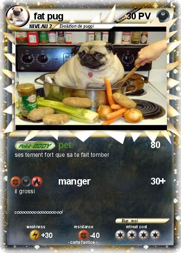 Pokemon fat pug