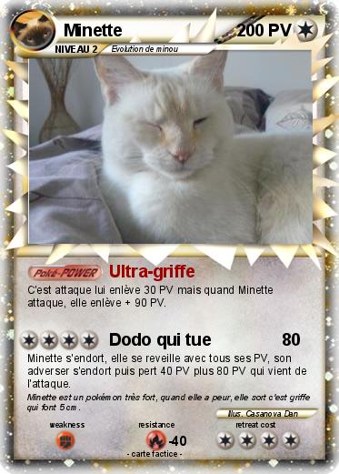 Pokemon Minette