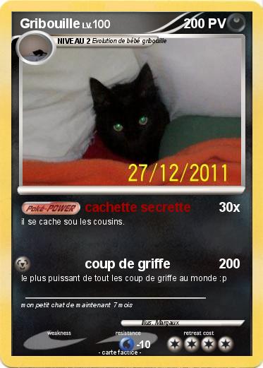 Pokemon Gribouille
