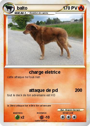 Pokemon balto