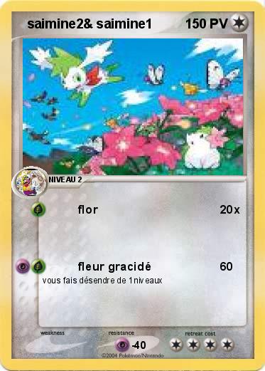 Pokemon   saimine2& saimine1