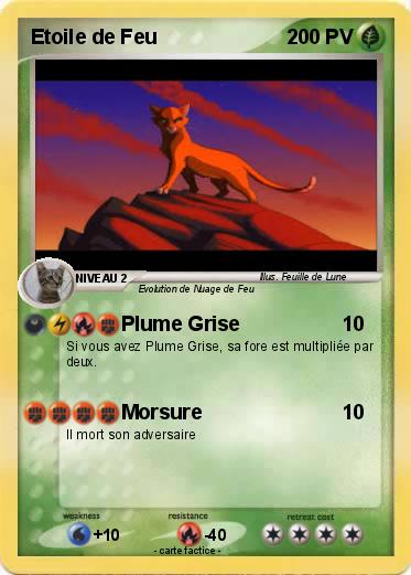 Pokemon Etoile de Feu